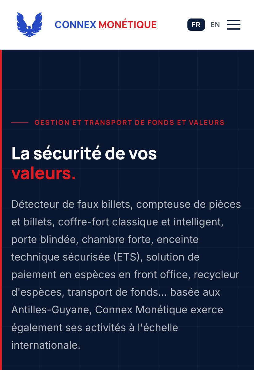 Aperçu du site Connex Monétique réalisé par yanaweb