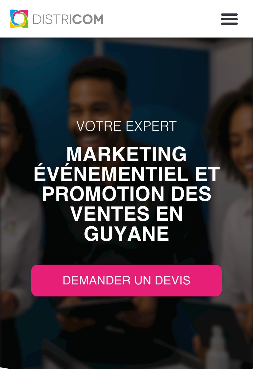 Aperçu du site Districom réalisé par yanaweb